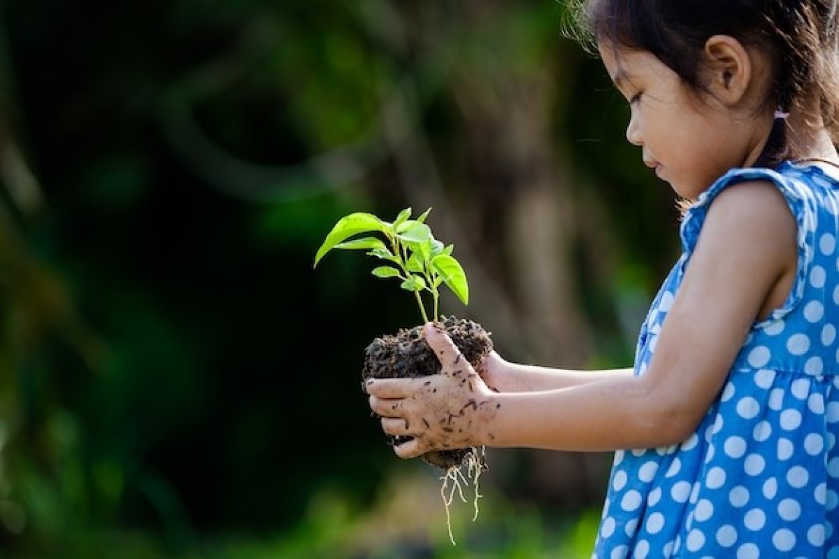 Child nurturing a plant outdoor | Top International Preschool in Hyderabad